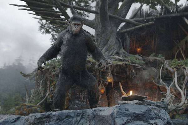 war-of-the-planet-of-the-apes-sinopsis