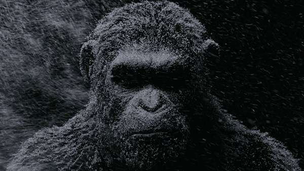 war-for-the-planet-of-the-apes-motion-poster