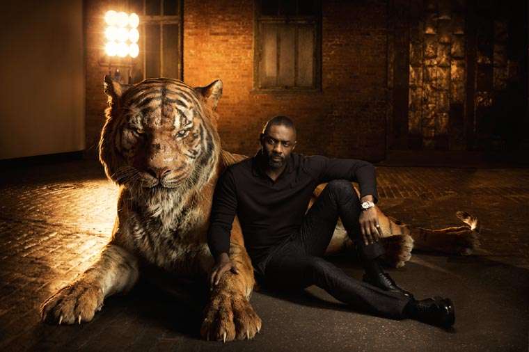 Idris Elba, Cats