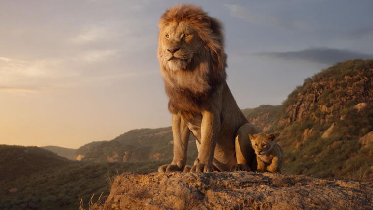 El Rey León, The Lion King, sorteo