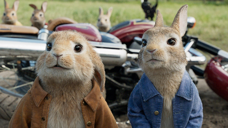 Peter Rabbit 2: The Runaway, Peter Rabbit